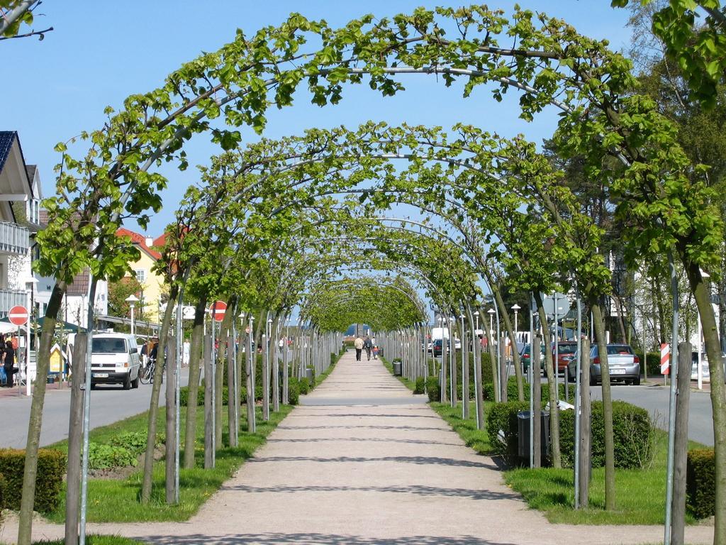 Traumferienwohnung Ostseebad Baabe - Ruegen Camera foto